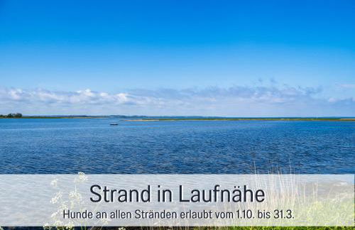 Ferienwohnung Lichtinsel - strandnah, ebenerdig, haustierfreundlich, Terrasse und Garten, viel Platz - Foto 10