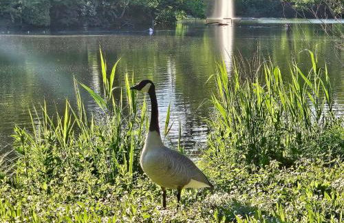 Licht+Luft, Wohnen auf Zeit - Foto 46