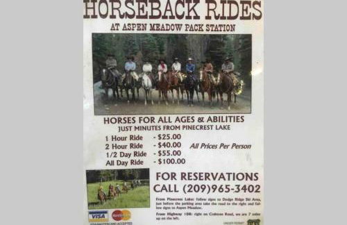 High Sierra Retreat with a view of Pinecrest lake - Foto 47