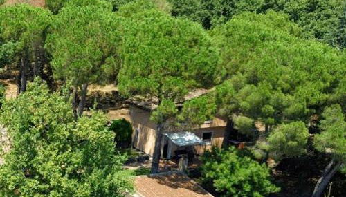 Feudo Algerazzi - Foto 3, Garden view