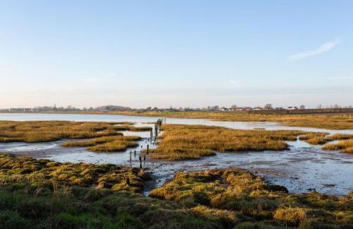 Snow Goose - Foto 34