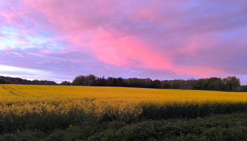 Le Gîte d'Odette - Foto 2