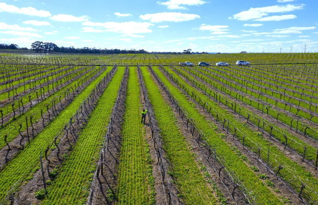 Furche Barossa Vineyard & Fireplace - Photo 20