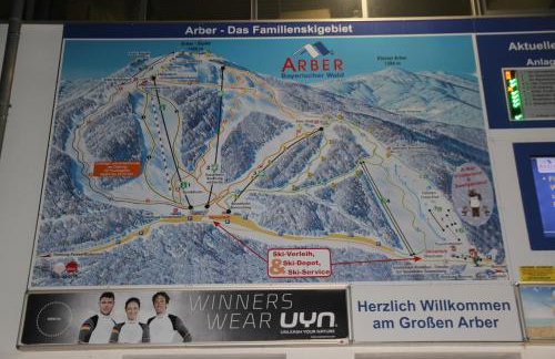 Apartment am Nationalpark Bayerwald - Foto 42