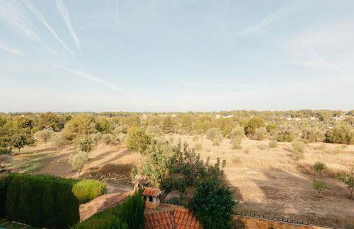 chalet, villa rodeada de naturaleza piscina a doce klm de Valencia y 7 del aeropuerto - Photo 29