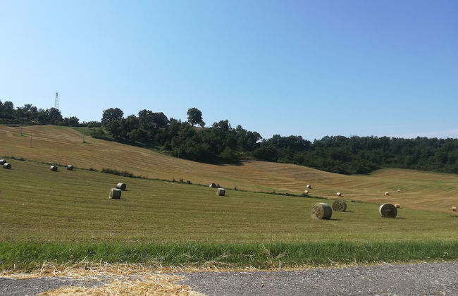 La Cartiera dei Benandanti - Foto 35