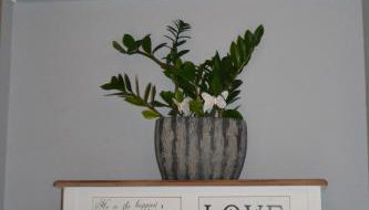 Double M Apartment - Foto 3