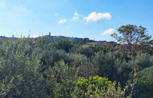 Amazing Home In San Cipirello With Swimming Pool - Foto 22