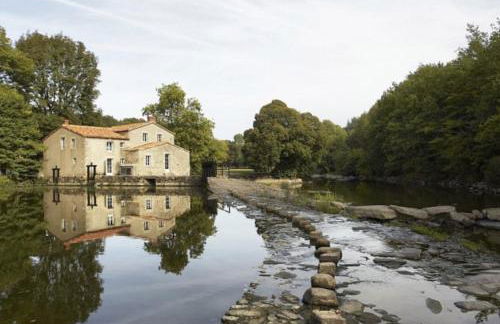 Aramis Appartement cosy à 15 min du Puy Du Fouu - Photo 18