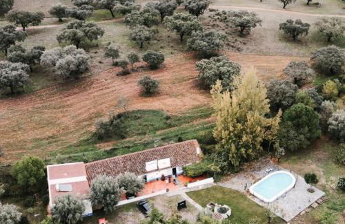 Monte Horta da Velhinha - Foto 4