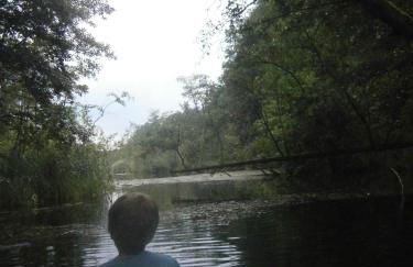 Große Wohnung mit Loggia - Photo 70