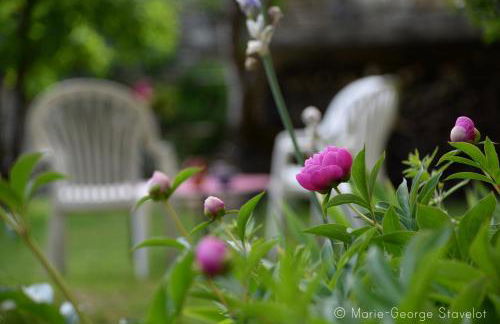 La Victoire de Noyers - Foto 72