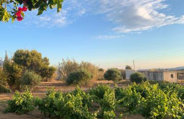 Vino suites - Foto 18