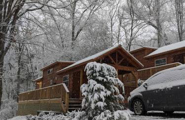 Sophie Cabin National Forest Tiny Cabin - Foto 30