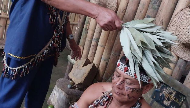 Cerimônia ritual com ayahuasca