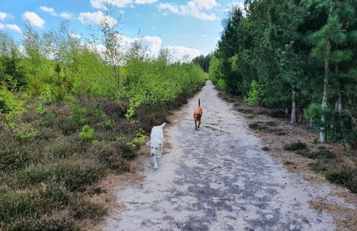 Bonneys Barn Retreat - Luxury homely getaway - Photo 26