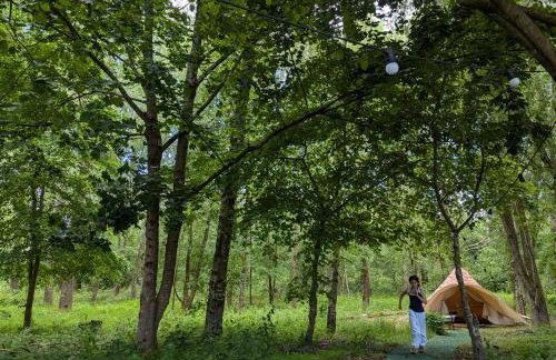 Woodside Studio - Foto 27