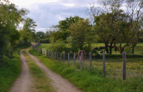 Gîte au Haras - Foto 34
