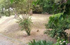 Appartement F2 tout confort **** - Foto 34