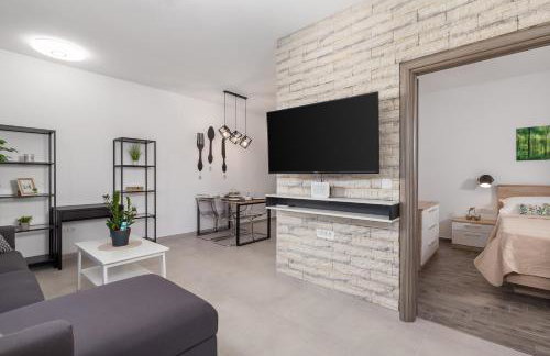 Apartmants Belvedere Rijeka - Photo 11