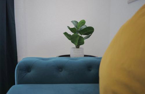 Apartman Providenca - Foto 23