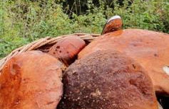 Wohnung im Schwarzwald mit Panorama Blick - Foto 38