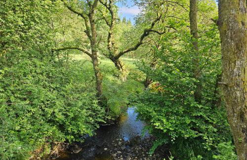 Pinfold Cottage, Tosside, Gisburn Forest - Foto 28