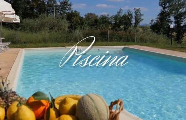 Poggio La Buca - Agriturismo - Foto 10