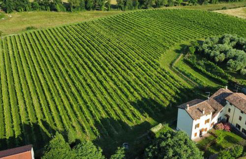 Holiday home in Castelnuovo del Garda - Gardasee 54558 - Foto 35