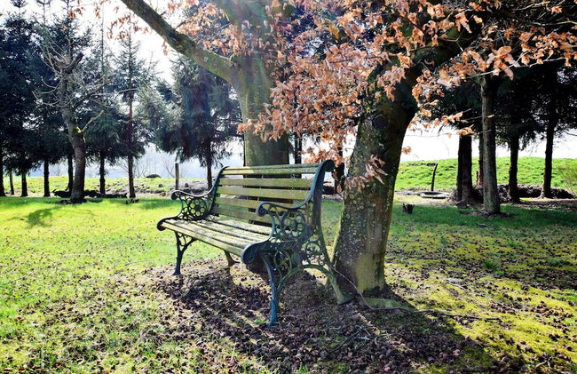 Holiday Home in Peaceful Setting and Large Garden - Foto 34