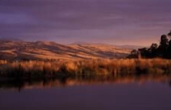 Wombat Hills Cottages - Foto 13