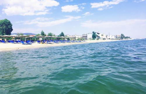 Harmony apartment - Photo 4