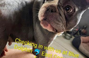 8 Berth Caravan at Blue Dolphin East coast - Photo 65