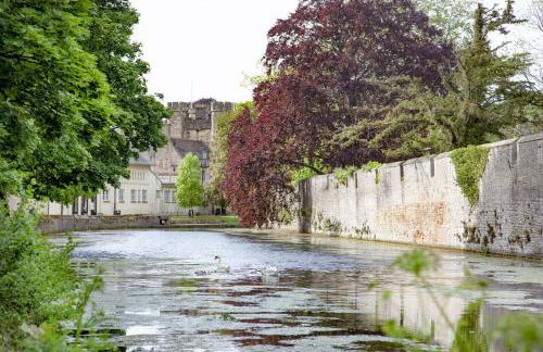 Apothecary Cottage - Pet Friendly Wedmore Couples Cottage - Free WiFi - Free Parking - Foto 29