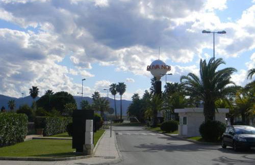 Oliva Nova Golf - Photo 34