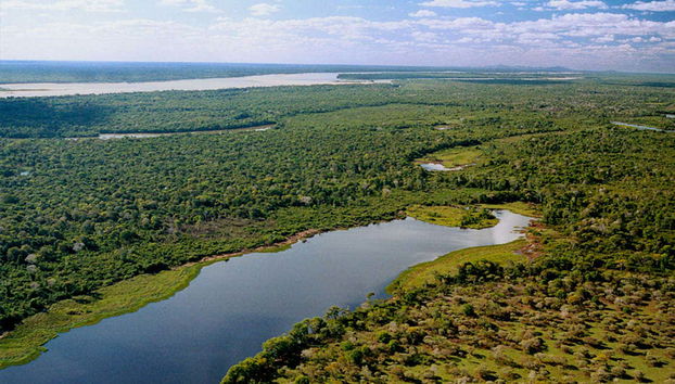 Isla del Bananal y Parque del Cantão en 3 o 5 días - Foto 2, Isla del Bananal