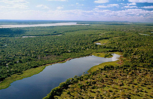 Isla del Bananal y Parque del Cantão en 3 días - Foto 1