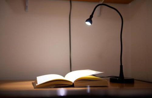 Patras Palm Tree - Foto 9