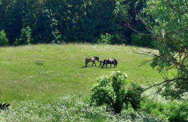 "Cztery Klony" - Foto 31