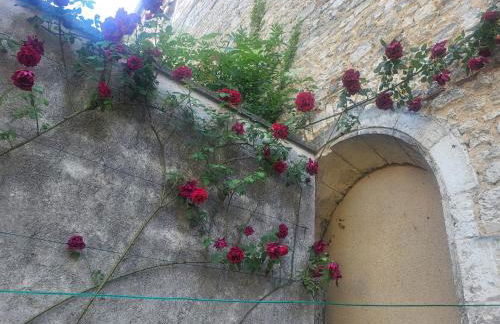 Au puits de l'abbaye - Foto 23