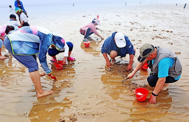 home at beach - Foto 28