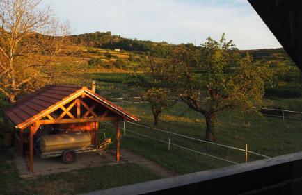 Gästehaus Haßler - Foto 18