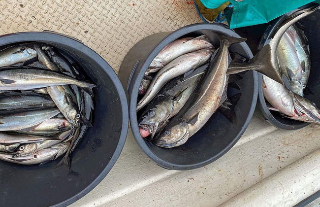 11 Person Holiday Home in Tarva - Foto 36