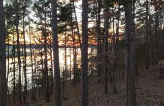 Greers Ferry Lake Cabin - Foto 35