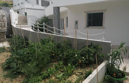 Big Blue - Xenija (Veliko Plavetnilo - Ksenija) - Foto 35