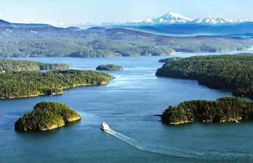 Moder charmer 4 BR 3 BA 12 Miles to Seattle, 3 miles to Airport near the mall - Foto 51