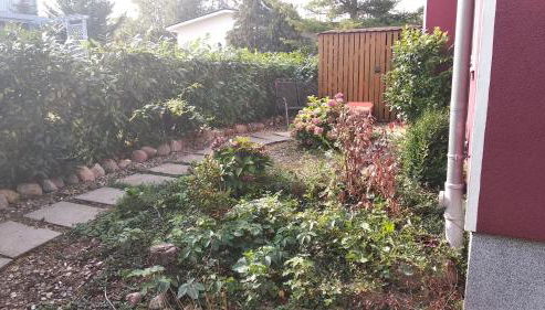 PONTUS Ferienwohnung FeWo2 - Foto 5, Garden, Garden view