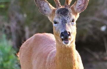 Central Village flat, close to beach - Foto 12