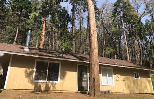 Sequoia National Forest CabinM - Foto 11