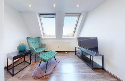 Spacious 4 Bedroom Apartment near City Center - Photo 13